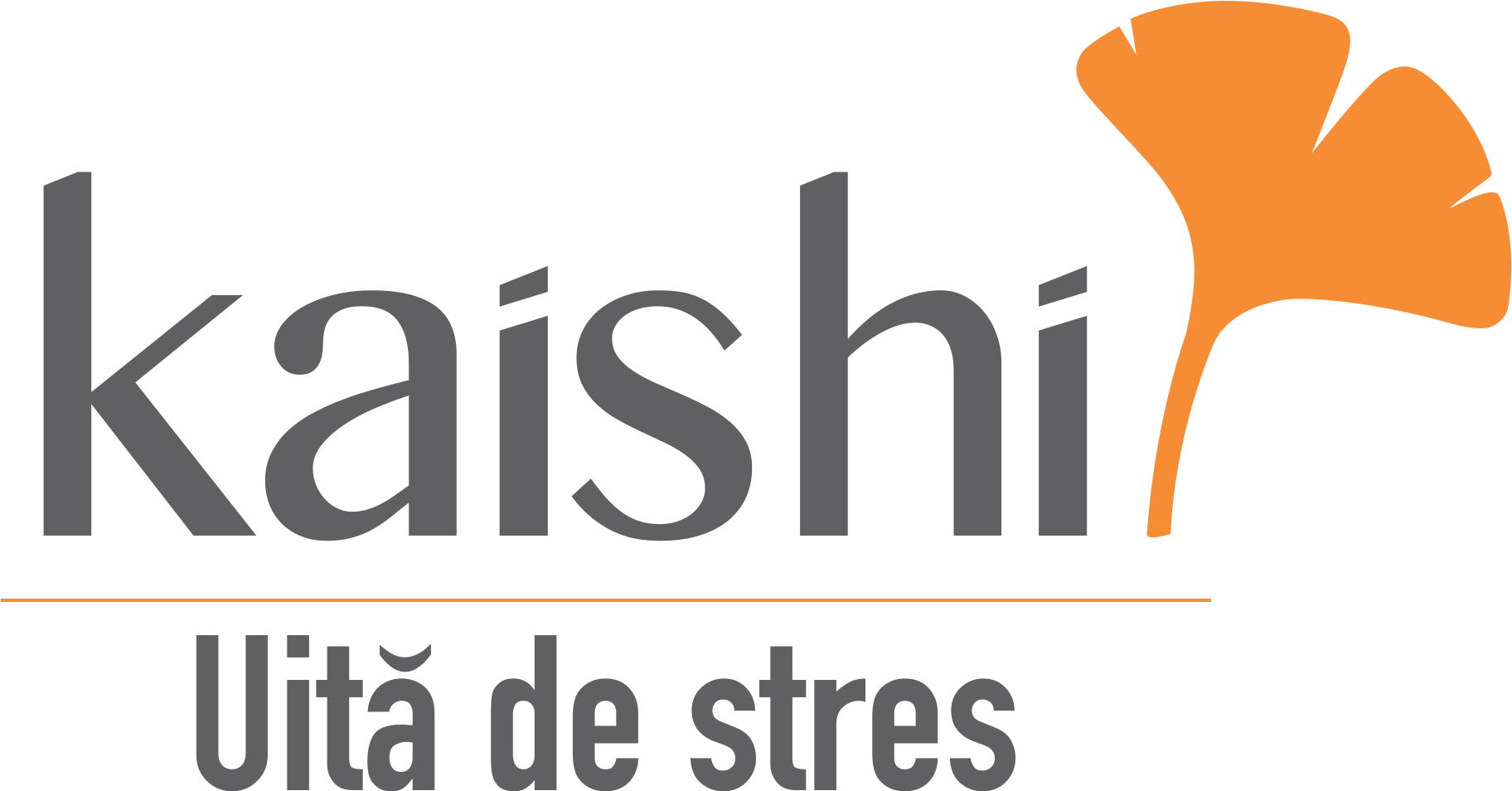 Logo Kaishi RO