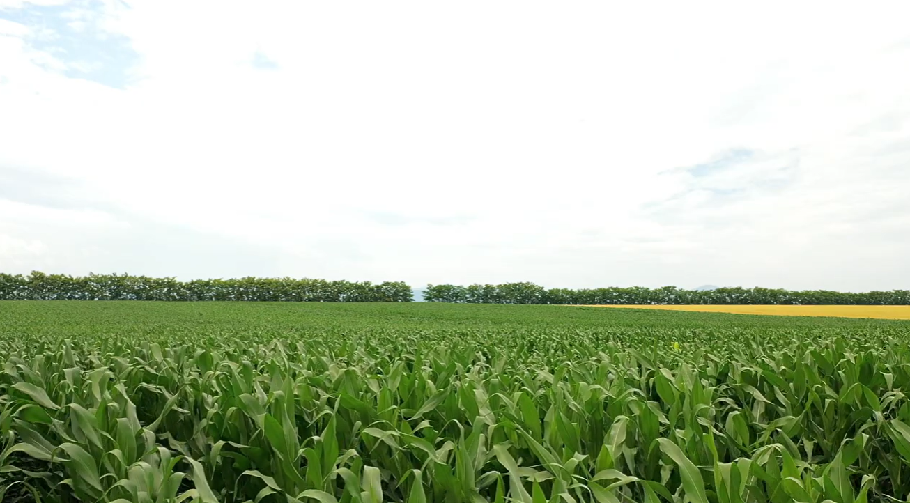 Prod Magi Farm Corteva Agriscience 2