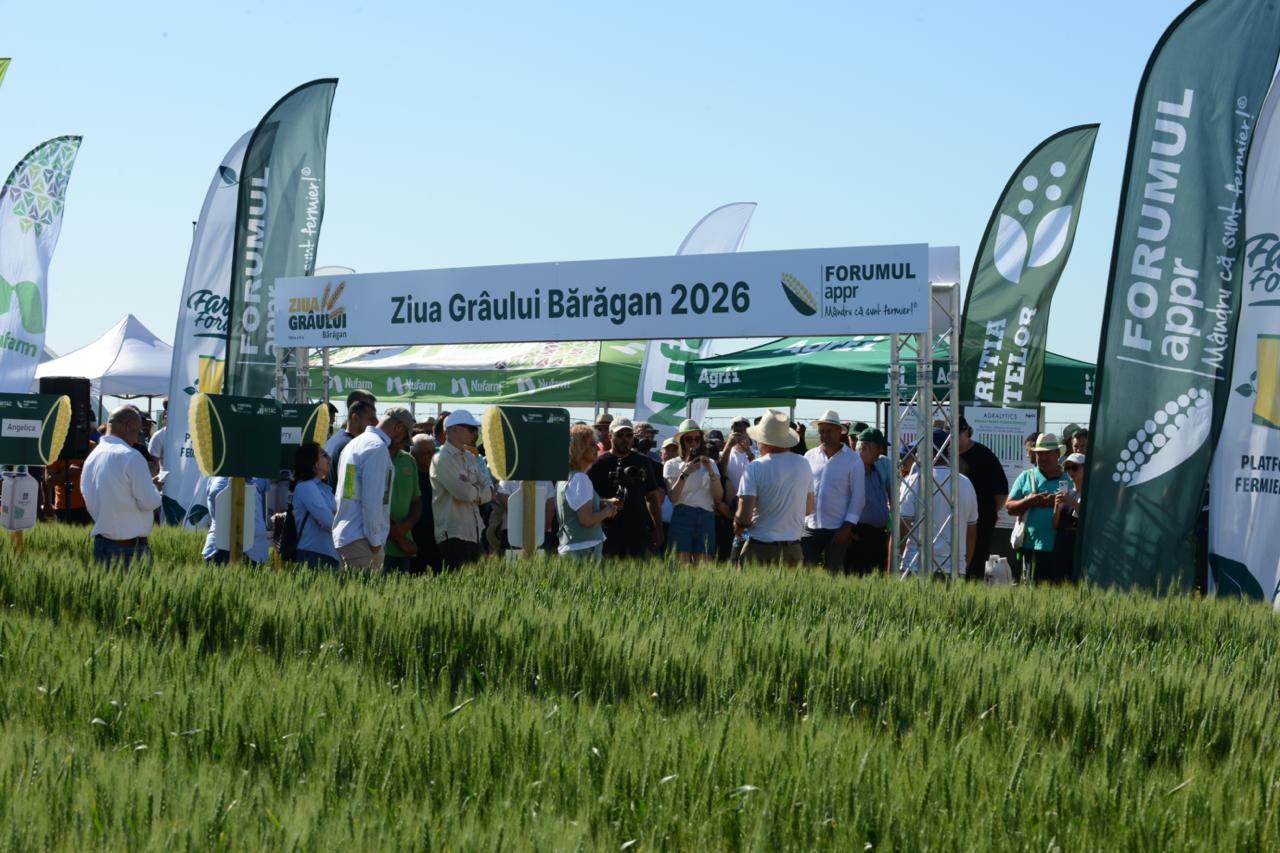 ZGB 2