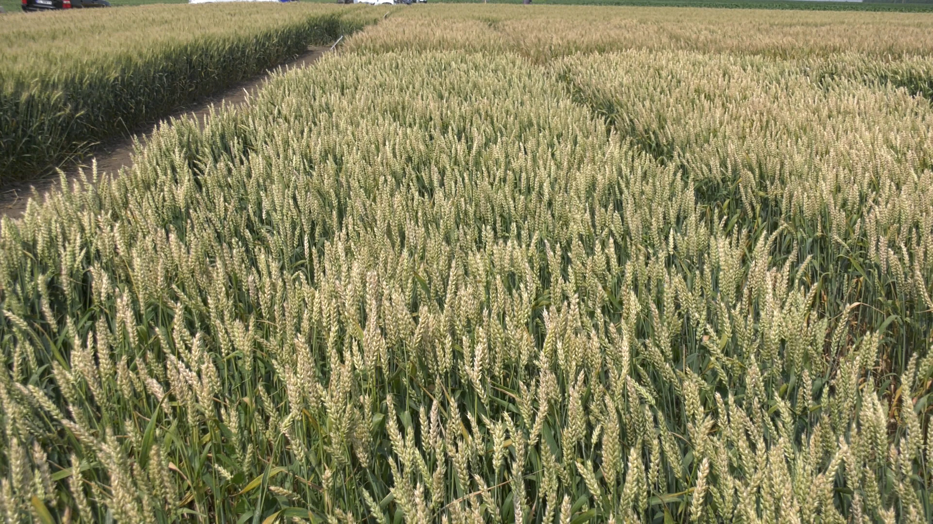 c 1