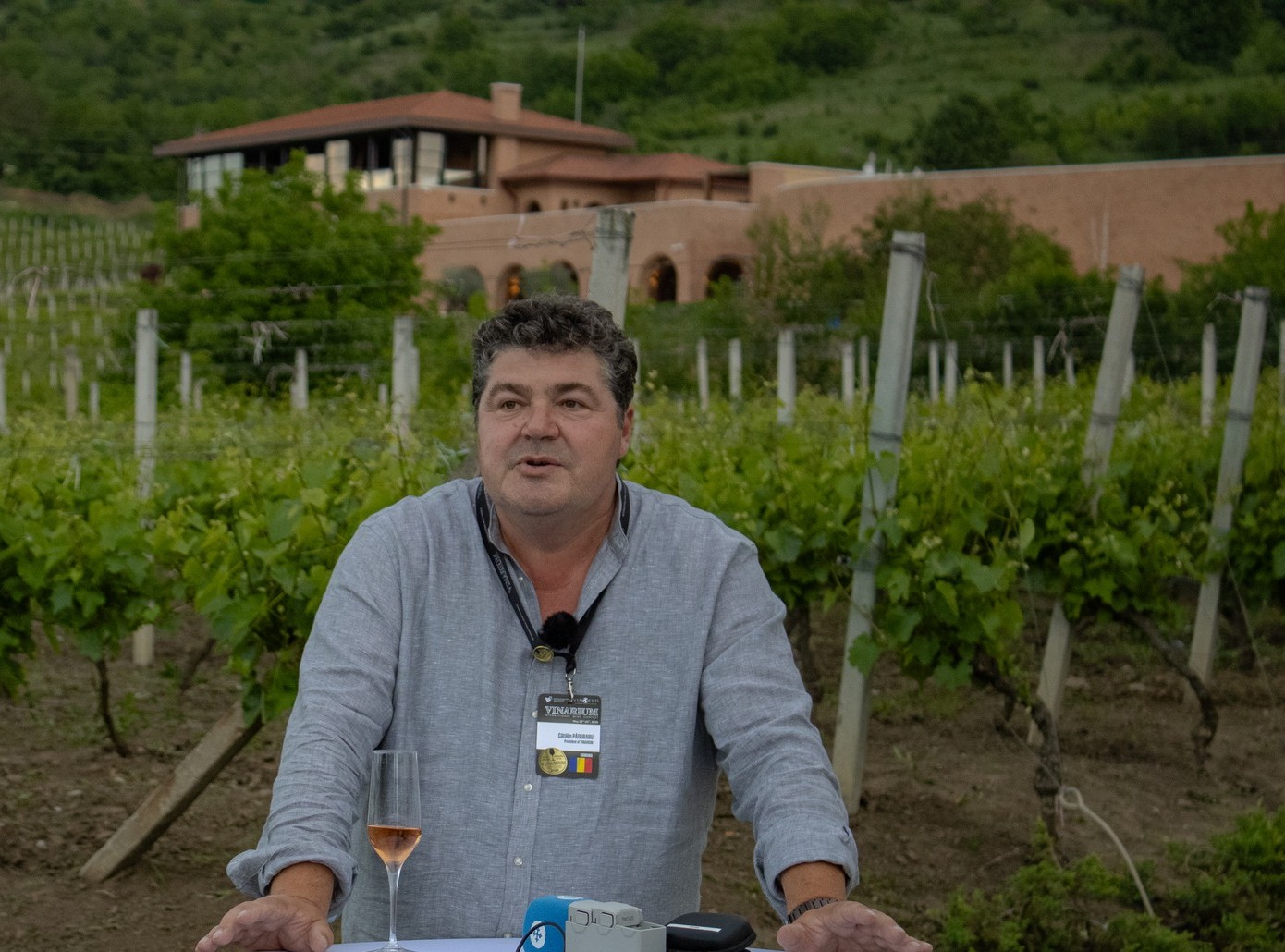 catalin vinarium