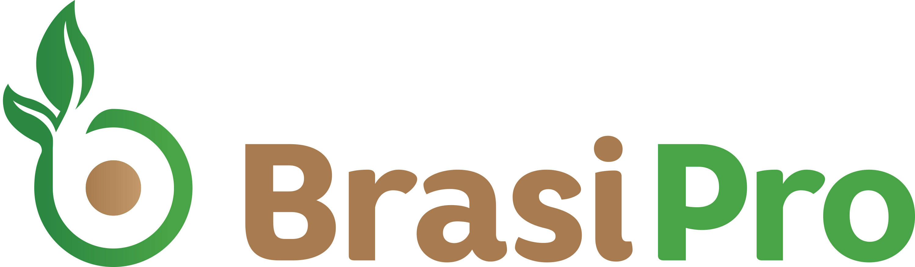 logo BrasiPro