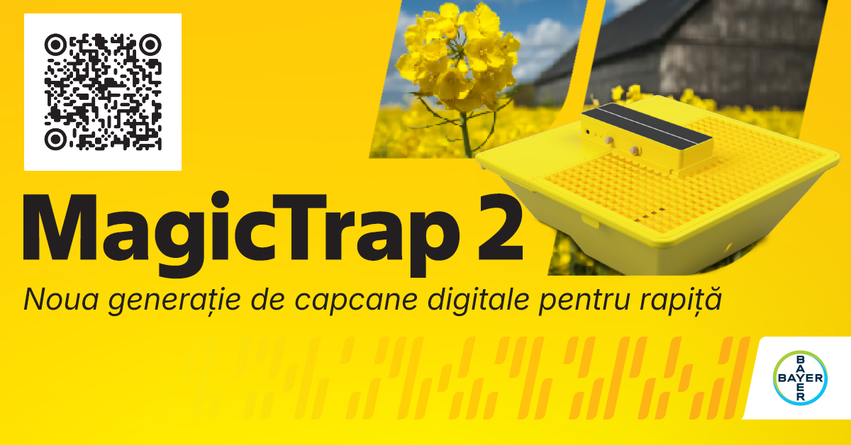magicTrap 1200x628