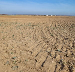 Acordul UE – Mercosur îngrijorează agricultorii din Europa. Fermierii continuă să tragă semnale de alarmă și ies în stradă