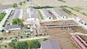 Din 27 mai 2022 încep înscrierile pentru ajutorul financiar nerambursabil din măsura „Microgranturi în domeniul agroalimentar”