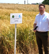 Cercetarea care hrănește România. Directorul SCDA Suceava, dr. Ioan Cătălin Enea: „Agricultura are nevoie de știință, nu de improvizație.”
