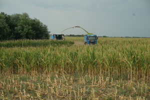 MADR suplimentează fondurile pentru subvenția la motorina utilizată în agricultură