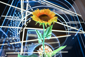 A.I.R.™, tehnologia revoluționară pentru floarea-soarelui a fost lansată oficial de Syngenta