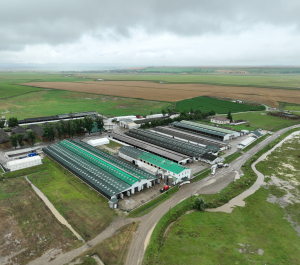 Agricultura, în centrul strategiei economice 2026 - 2034