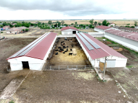 Angus Farm Banat, de la fermă direct în farfurie