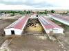 Angus Farm Banat, de la fermă direct în farfurie