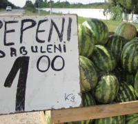 Pepenii de Dăbuleni, la preț de nimic