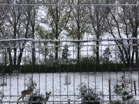 E iarnă în Prier! Șefii celor două mari organizații de fermieri din România sunt îngrijorați! „Pentru pomi și viță-de-vie, vom avea pierderi însemnate de recoltă, pornind de la 100%”