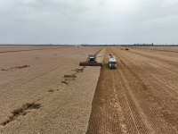 Nou acord de finanțare între Agricover Credit și BSTDB, pentru sprijinirea sectorului agricol
