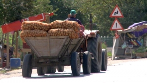 „Soare cu dinți” pentru fermierii bistrițeni. An bun pentru o cultură agricolă, dar dezastruos pentru altele
