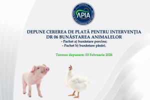 Bunăstarea animalelor: APIA primește cererile de plată pentru campania 2026