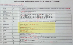 Exclusiv: Aceștia sunt indicii de calitate ai grâului recoltat în 2017! 179 de probe din 24 de județe spun că avem o materie primă de primă mână. Soiul Litera, pe primul loc!