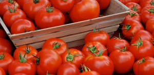 Programul „Tomata” 2020, se subvenționează minimum 3 kg tomate/mp