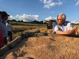 Primul semnal relativ clar dat de guvernanții României privind producția vegetală: „La grâu am făcut mai mult ca anul trecut”, Daea (MADR)