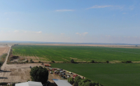 Fermierii cer excluderea sectorului agricol din iTA și din orice formă de aplicare provizorie a acordului UE - Mercosur