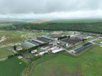 România are mare nevoie de cooperative agricole