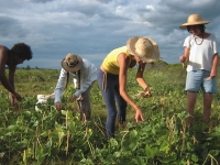 50 de milioane de euro pentru instalarea tinerilor fermieri în mediul rural