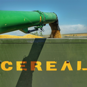 Soluții la criza cerealelor din porturile românești, propuse de Alianța pentru Agricultură și Cooperare