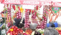Bogăţia toamnei la Apulum Agraria