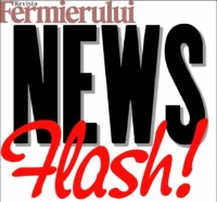 Produsele agroalimentare şi băuturile nealcoolice, în topul cheltuielilor de consum ale românilor, (INS)