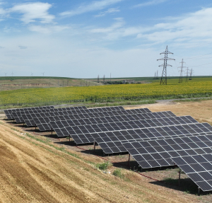 Interes mare din partea fermierilor și procesatorilor pentru ajutorul pentru investiții în capacități noi de producere a energiei electrice din surse regenerabile