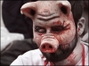 Crescătorii de animale din România, afectați de anunțul făcut de ruși. Breșă de securitate? „Ce s-a întâmplat între 24 și 31 mai 2018?” (ACEBOP)