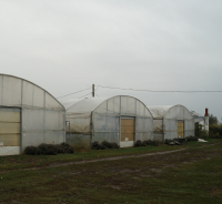 Ajutorul de minimis pentru legumele cultivate în spații protejate, în conturile cultivatorilor