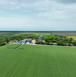 Creditarea în agricultură, blocată. Adeverințele APIA, hârtii fără valoare