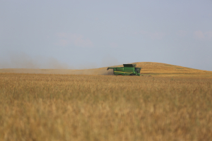 România, din grânar hipermarketul Europei, concluzia târgului virtual de agricultură AGRIBUSINESS 4.0