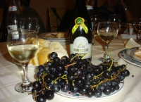 Frâncuşa, primul vin al anului