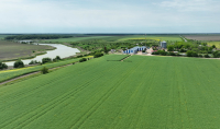 „Absența unui statut strategic clar pentru agricultură are costuri reale și imediate” Clubul Fermierilor Români susține recunoașterea producției de îngrășăminte ca infrastructură critică și solicită declararea agriculturii sector strategic național