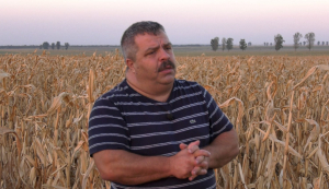 Surpriză totală în piața agricolă! Ștefan Gheorghiță, noul strateg al Grupului AGRINVEST