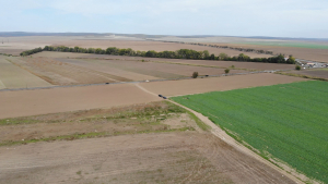 A crescut suprafața agricolă în Campania 2022 de depunere a cererilor unice de plată