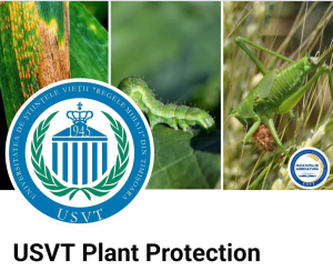 USVT Plant Protection, pagina Universității de Științele Vieții din Timișoara pentru gestionarea corectă a bolilor și dăunătorilor din culturile agricole