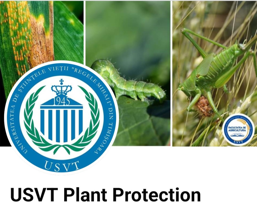 USVT Plant Protection, pagina Universității de Științele Vieții din Timișoara pentru gestionarea corectă a bolilor și dăunătorilor din culturile agricole
