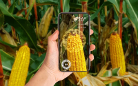 Syngenta oferă acces dezvoltatorilor terți din întreaga lume la platforma digitală Cropwise