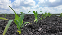 Tehnologii care ajută agricultura să răspundă mai eficient unei clime în continuă schimbare