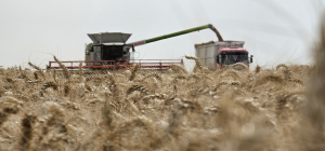 Culturi mai sănătoase, randamente mai ridicate și profitabilitate economică sporită