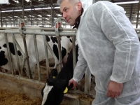 HolsteinRO, singura asociație din România care are în derulare un program de testare genomică