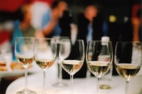 Primul Salon Național de Vinuri al României - Vintest