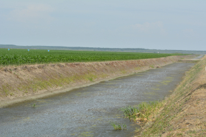 Agricultura României are nevoie de apă