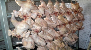 Balanța sacrificărilor de animale