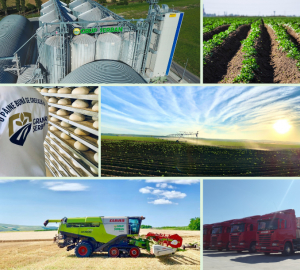 Piața de capital, o opțiune viabilă de dezvoltare a afacerilor agricole. Grup Șerban Holding anunță intenția de listare pe piața AeRO a BVB