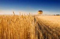 2010 - retrospectiva în agricultură