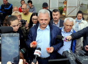 „Niciun consumator nu este expus la reziduuri de pesticide care i-ar putea pune în pericol sănătatea”, anunță Ministerul Agriculturii în urma analizelor efectuate pe 68 de probe de roșii